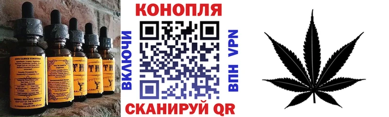 Cannafood конопля  где можно купить   Дигора 