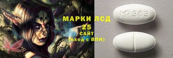 МДПВ Вяземский