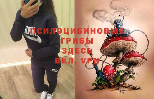прущая мука Вязьма