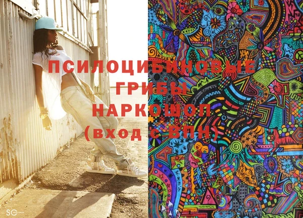 бошки Володарск