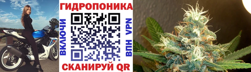 где можно купить наркотик Дигора Конопля семена
